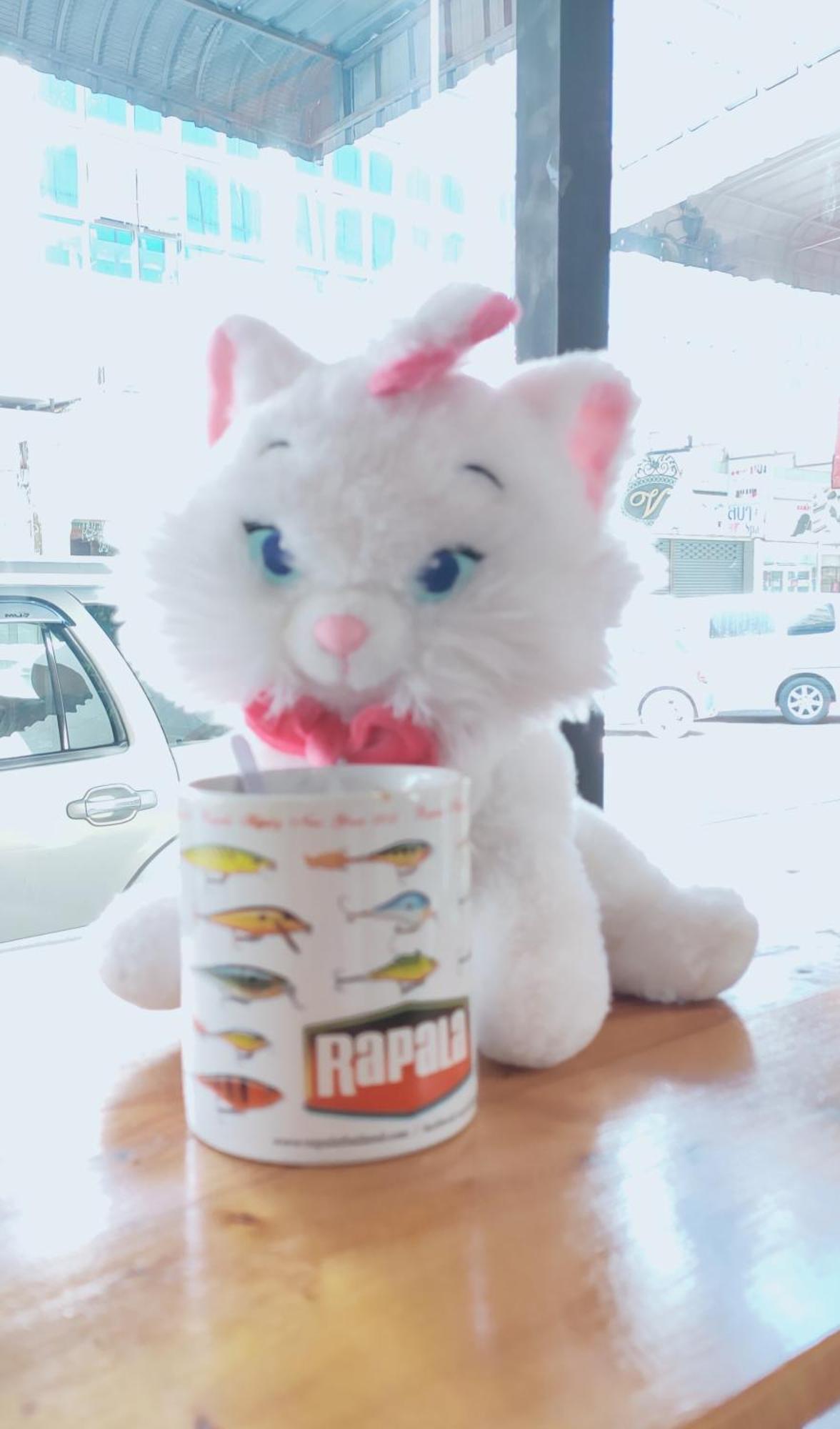 曼谷 睡猫青年旅馆酒店 外观 照片